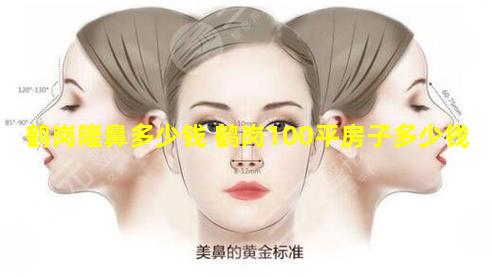 鹤岗隆鼻多少钱 鹤岗100平房子多少钱